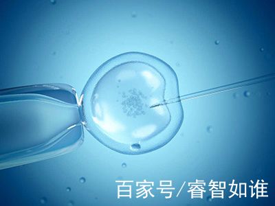 一般不妊検査・タイミング療法